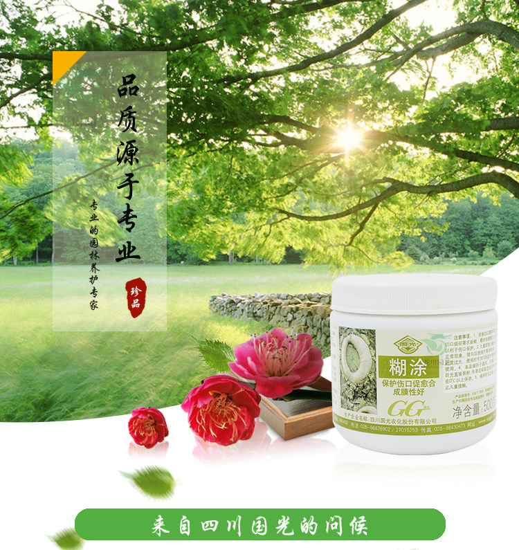 国光糊涂